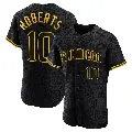 Men's No.10 Bip Roberts San Diego Padres Black Authentic Snake Skin City Jersey